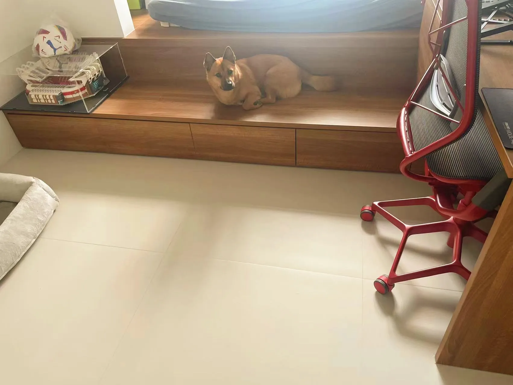 Foshan - Literary Haven - Image 4